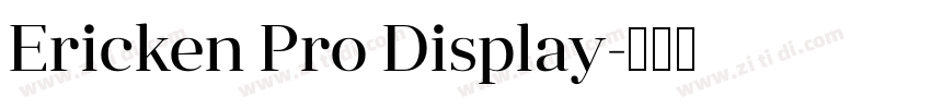 Ericken Pro Display字体转换